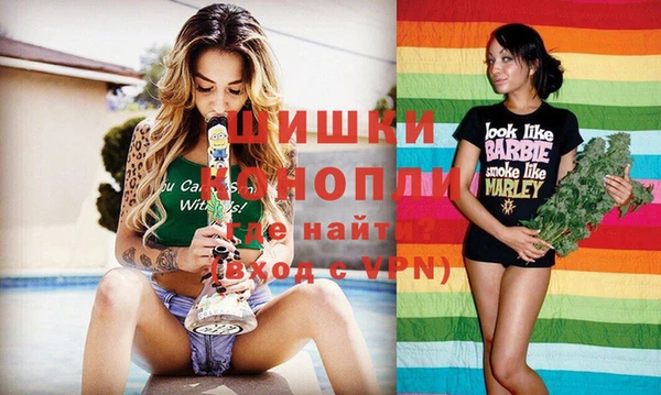 тгк Нея