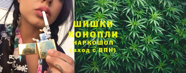 тгк Нея