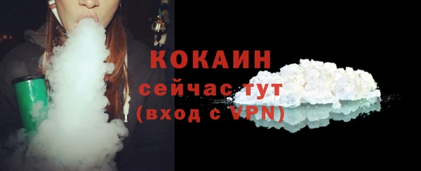 тгк Нея