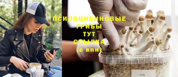 каннабис Нефтекумск