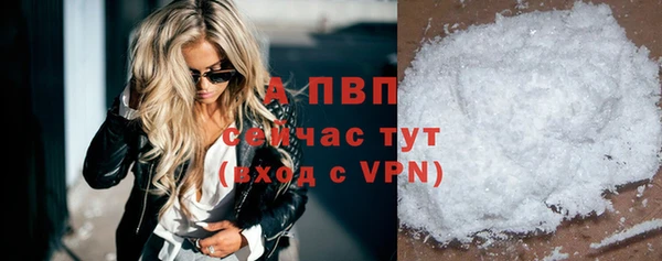 тгк Нея