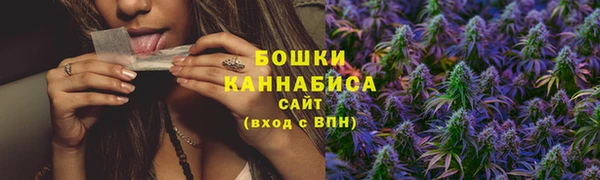 тгк Нея