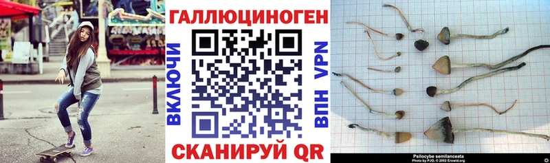 маркетплейс Telegram  Южноуральск  Галлюциногенные грибы Magic Shrooms 