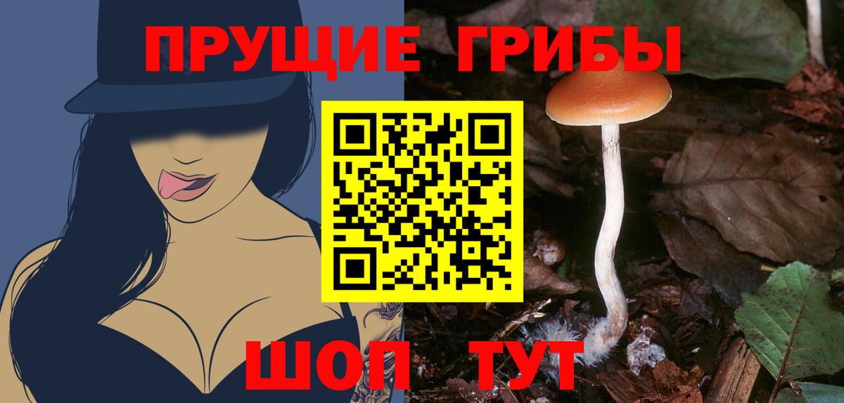 Псилоцибиновые грибы Psilocybe  Галлюциногенные грибы прущие грибы  Вход с VPN  Южноуральск 